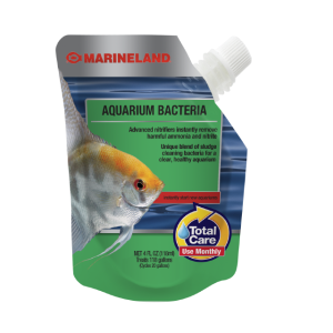 Bacterial Tradition for Aquariums