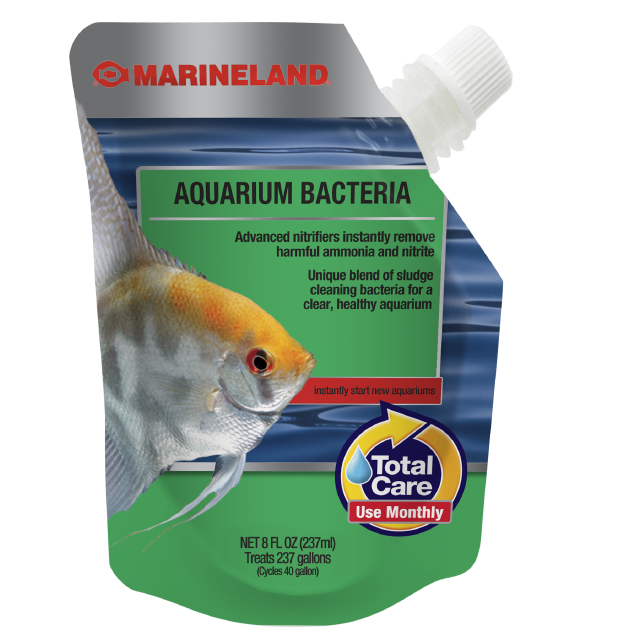 Bacterial Tradition for Aquariums